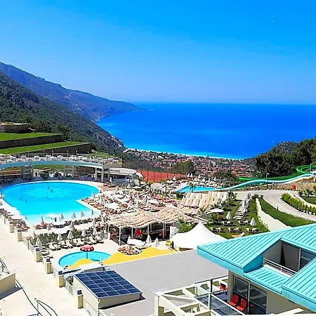 Orka Sunlife & 3* Cedit